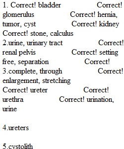 Quiz 13